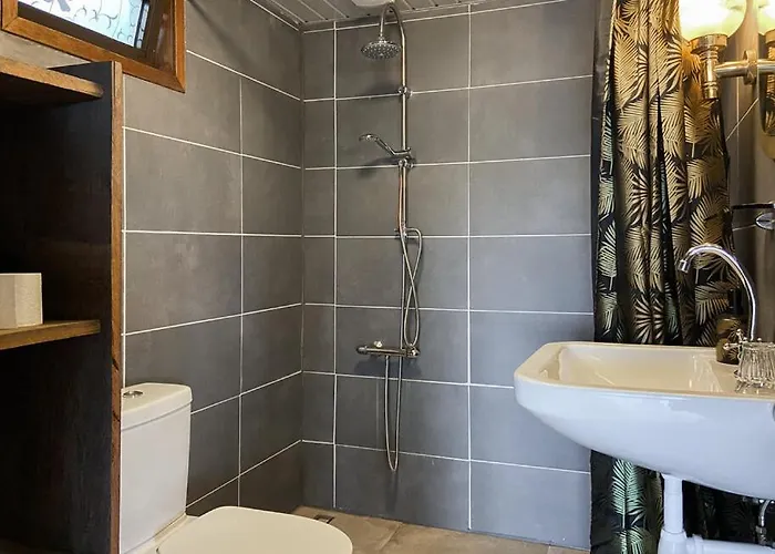 Woonboot De Karekiet بوتيل لوستريشْت